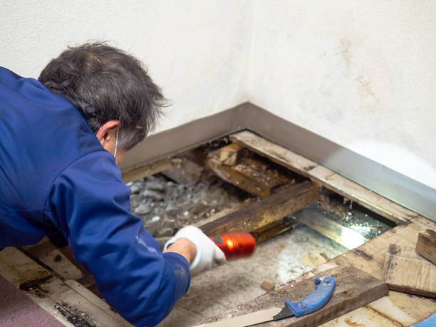 Crawl Space Mold Removal in East Basin, UT