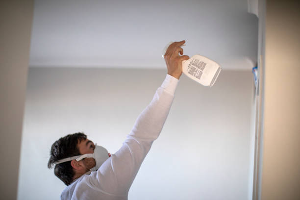Best Fast Mold Removal  in East Basin, UT