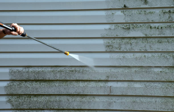 Best Residential Mold Removal  in East Basin, UT